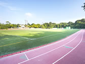 Sports Grounds